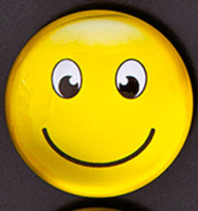 Magnete-aus-Glas-3D-Effekt-Nr-11