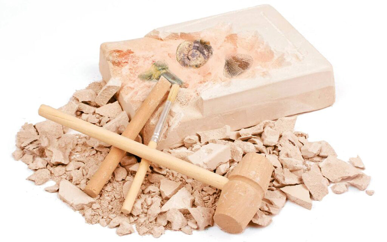 Moses-Verlag-Ausgrabungsset-fuer-Kinder-4-echte-versteinerte-Fossilien-Expedition-Natur-Komplettset-9832-anwendung-lafueliki