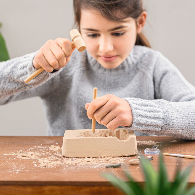 Moses-Verlag-Ausgrabungsset-fuer-Kinder-4-echte-versteinerte-Fossilien-Expedition-Natur-Komplettset-9832-anwendung-mit-kind-lafueliki