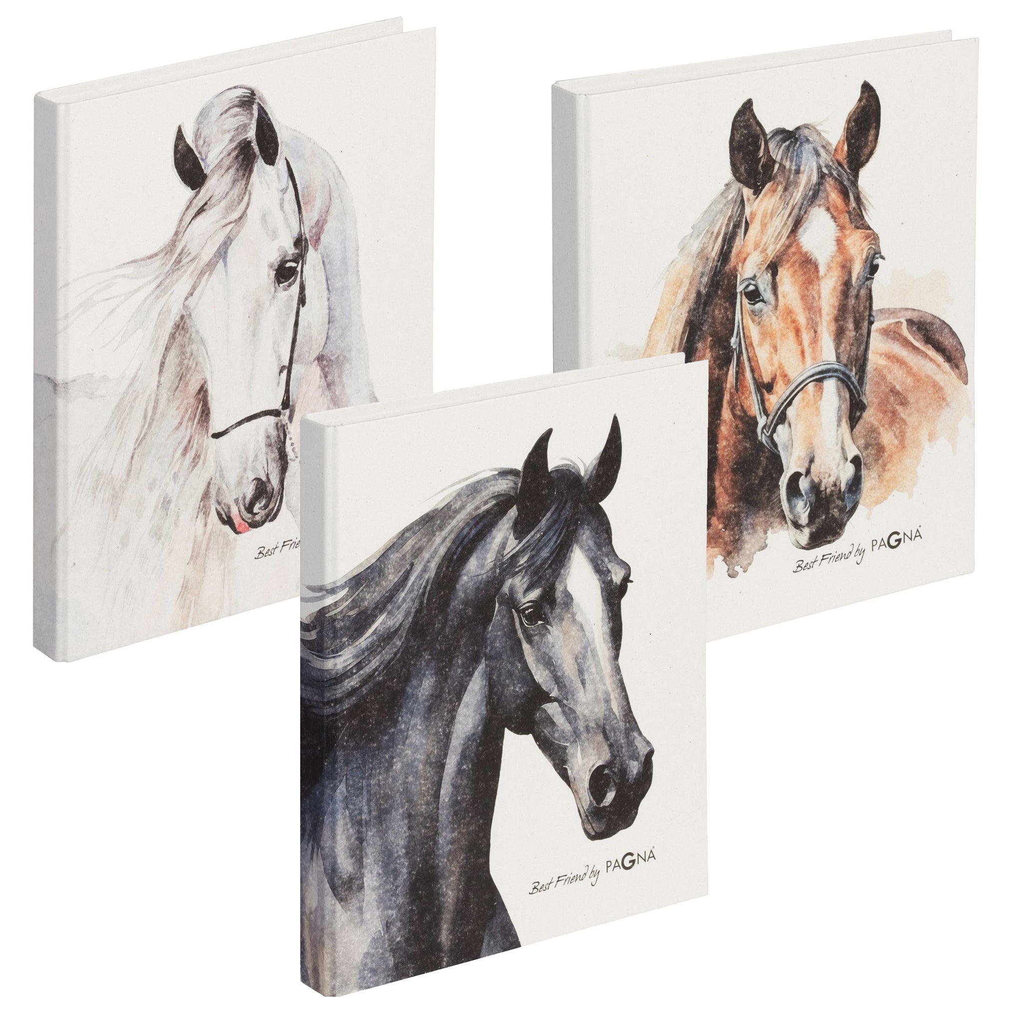 PAGNA Ringbuch A4 · 2 Ringe · Pferd · Best Friend