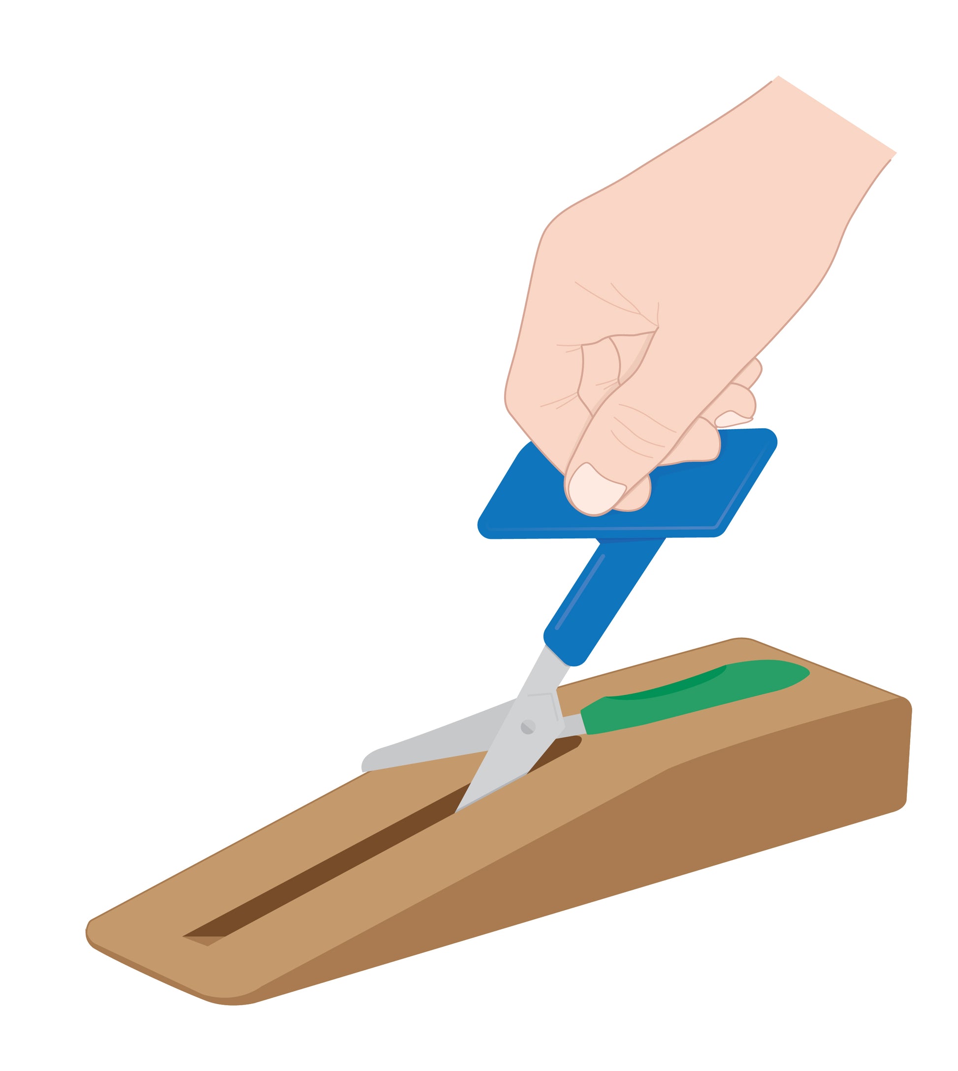 PETA_PTT_scissor_illustration-colour