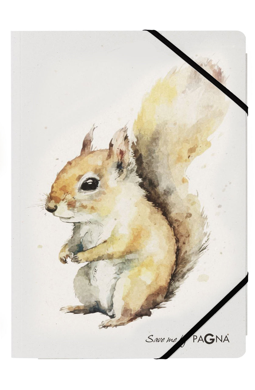 Pagna-Sammelmappe-A4-Gummizung-Eichhoenchen-Waldtier-21654-25-save-me-No-4-online-kaufen-lafueliki