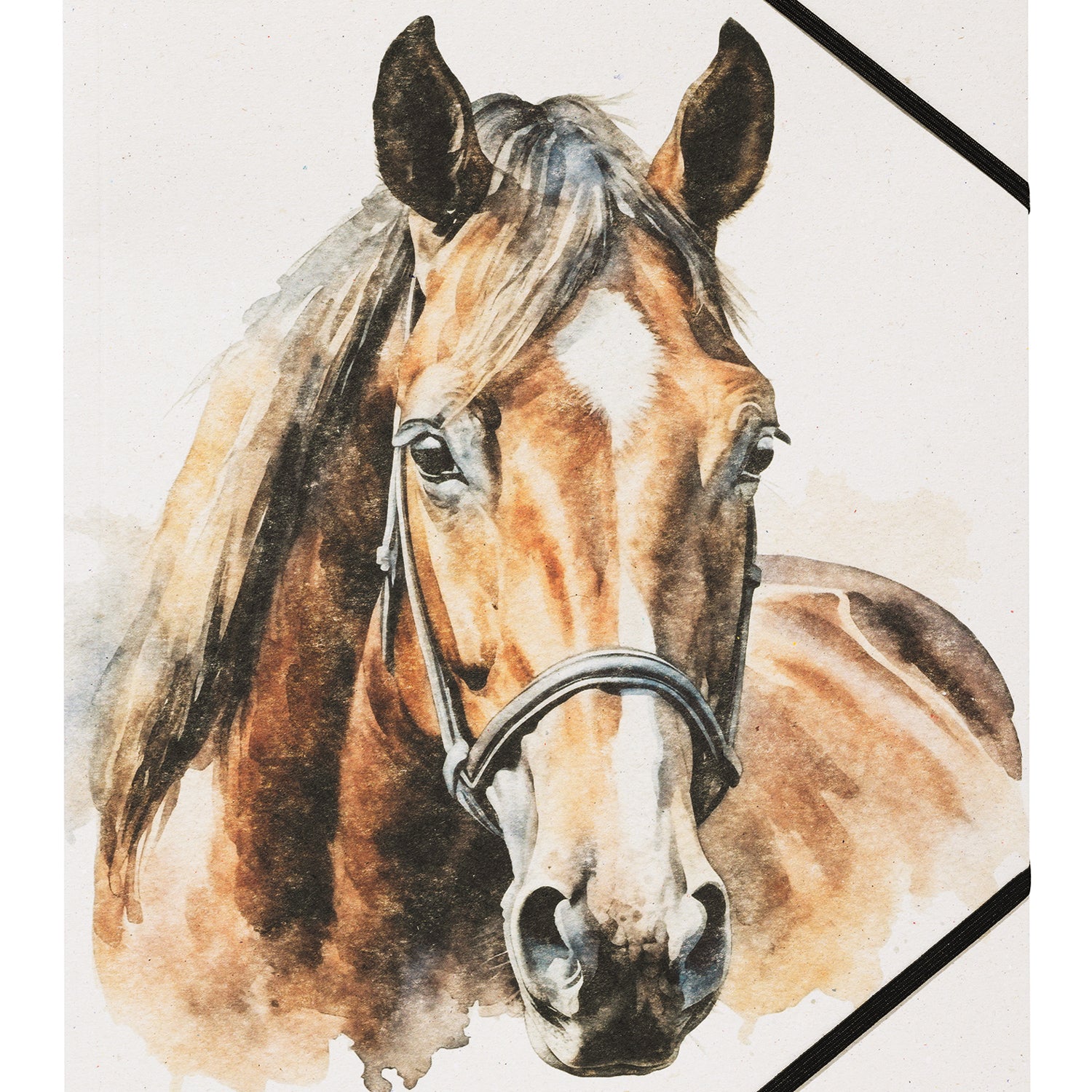 PAGNA Sammelmappe A4 · Pferd braun · Best Friend