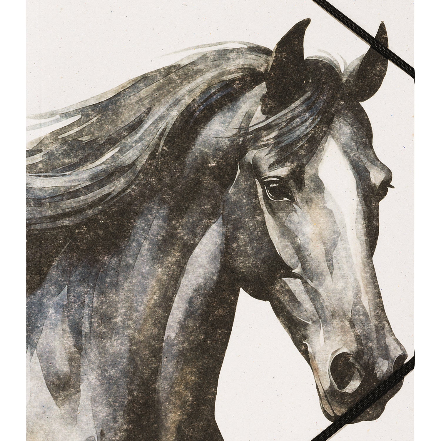 PAGNA Sammelmappe A4 · Pferd schwarz · Best Friend