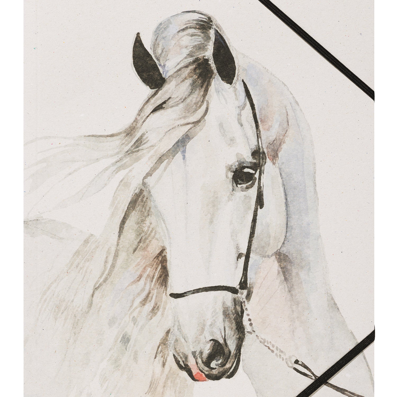 PAGNA Sammelmappe A4 · Pferd weiß · Best Friend