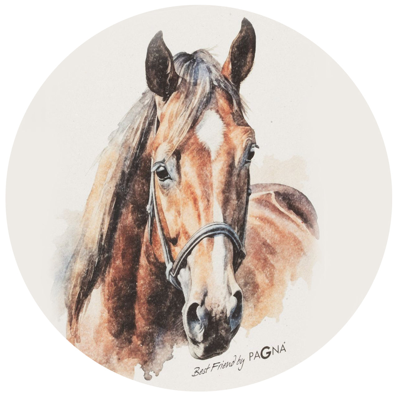 PAGNA Ringbuch A4 · 2 Ringe · Pferd · Best Friend