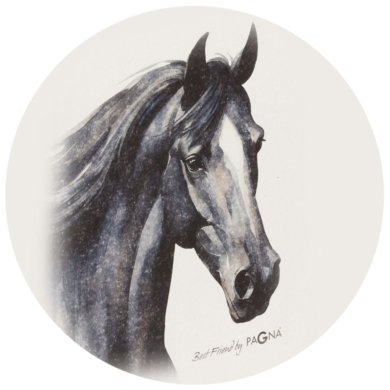 PAGNA Ringbuch A4 · 2 Ringe · Pferd · Best Friend