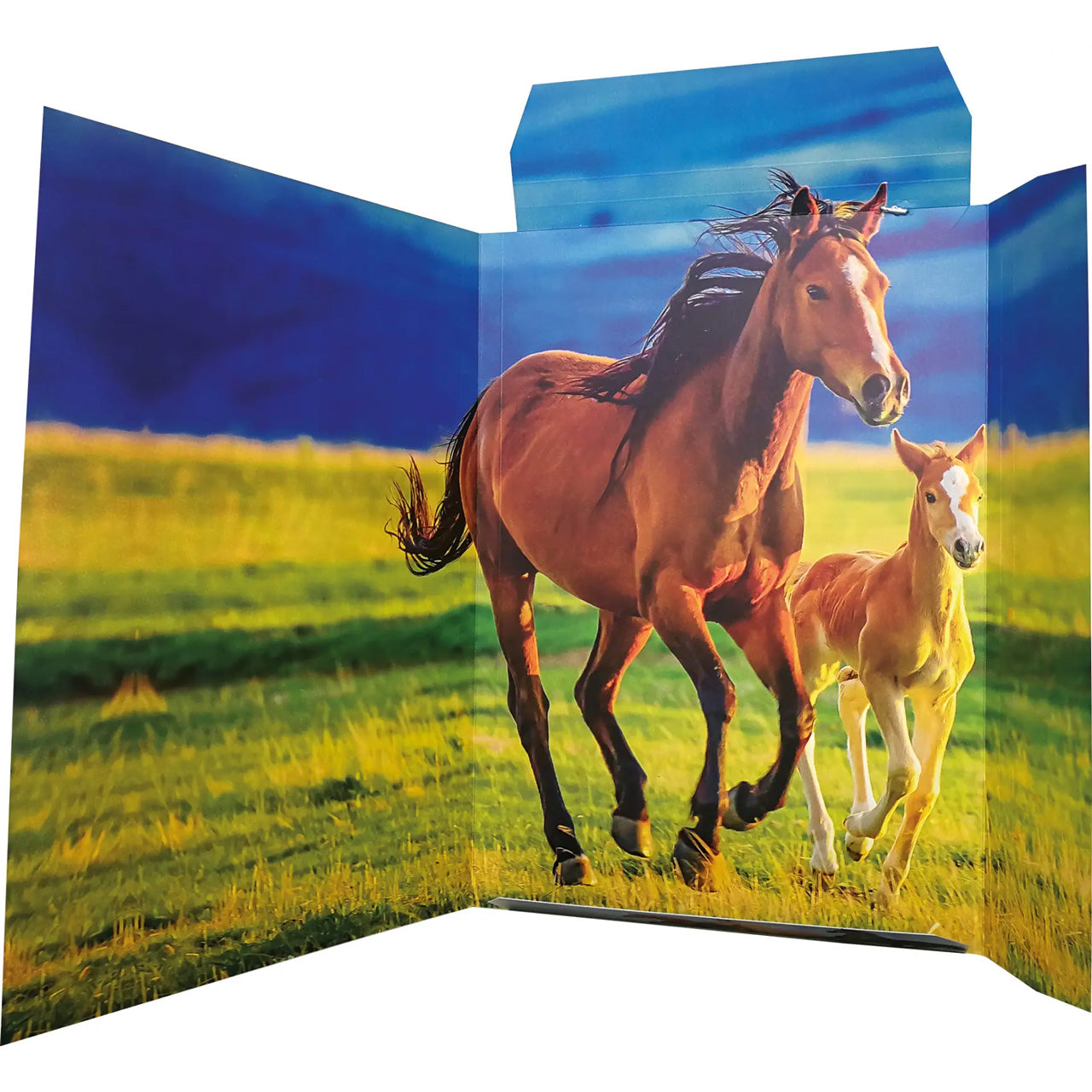 Sammelmappe-Zeichenmappe-A3-Karton-Motiv-Pferd-Maedchen-45353-ansicht-innen-RNK-Verlag-lafueliki