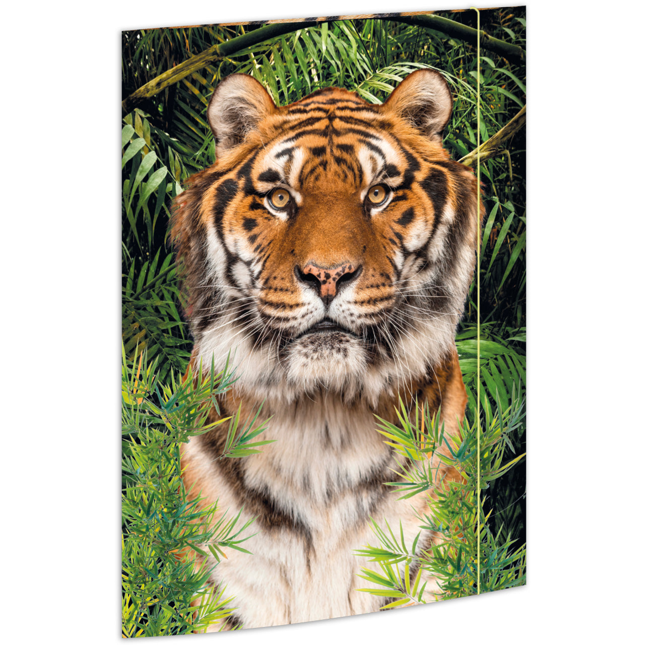 Sammelmappe-Zeichenmappe-A3-Karton-Motiv-Tiger-Jungs-45367-RNK-Verlag-lafueliki