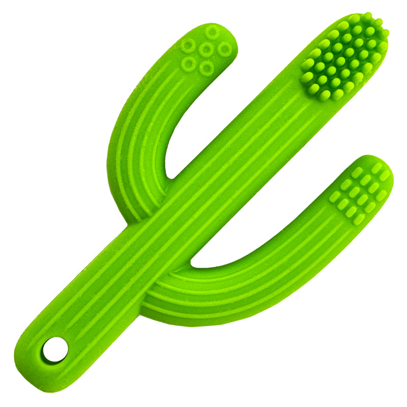 TPG-Kaktus-Zahnbuersten-Beissring-Kauschutz-634901004371-lafueliki