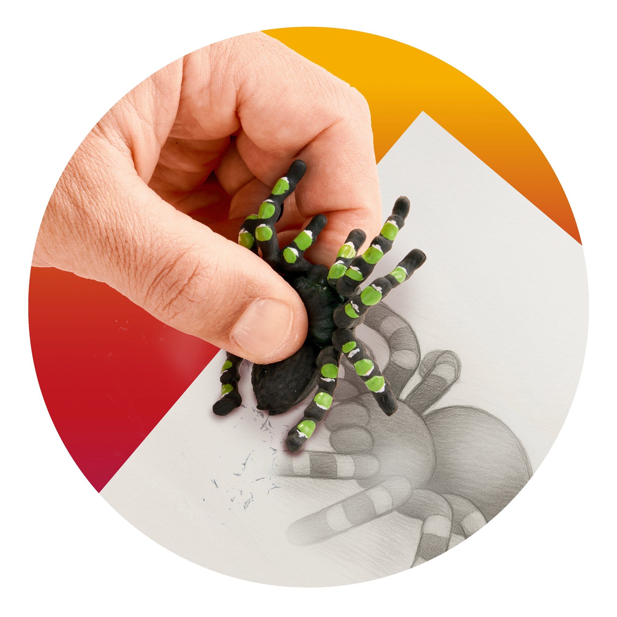 Trendhaus-Radierer-Vogelspinne-spinne-anwendung-959577-ZOO-lafueliki