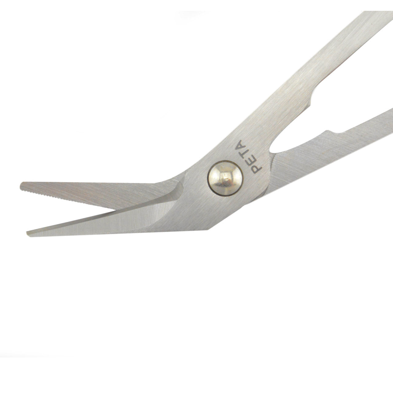 Zehnagelschere-schneide