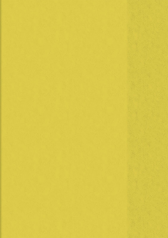 heftumschlag-a5-gelb104050510