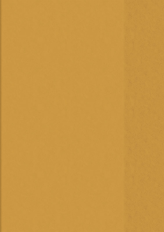 heftumschlag-orangen-104050440