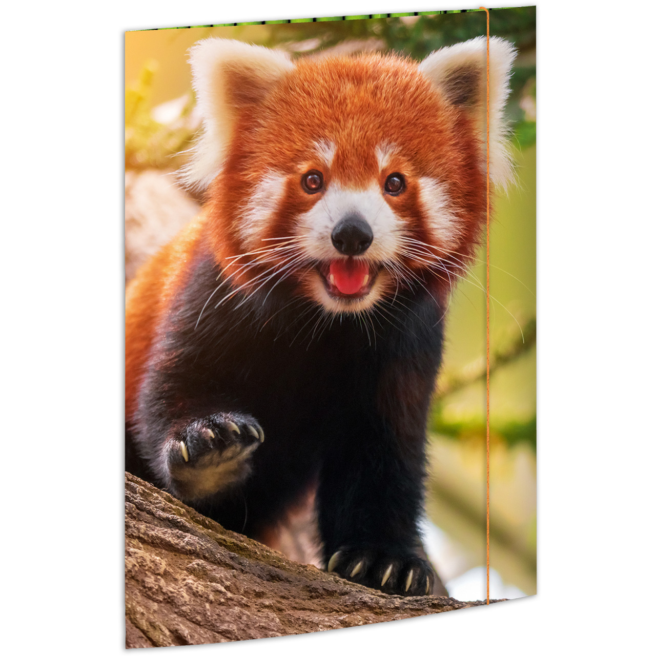 Zeichenmappe A3 · Karton · Motiv: Roter Panda · online kaufen - LAFÜLIKI